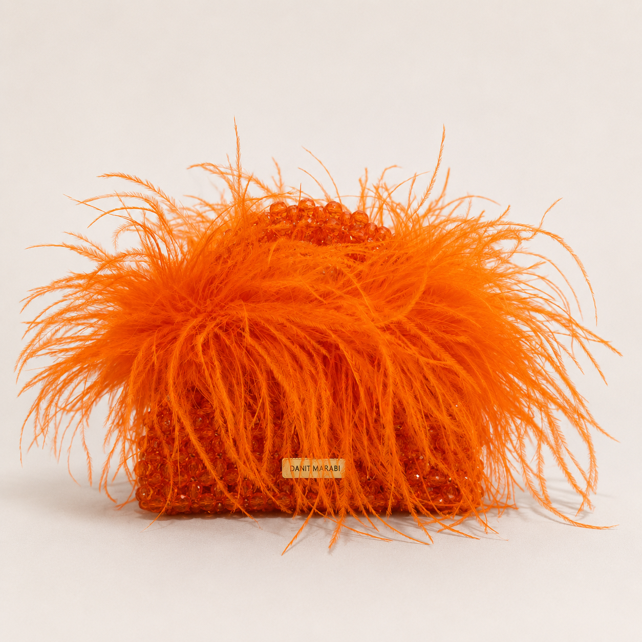 THE STARLIT ORANGE