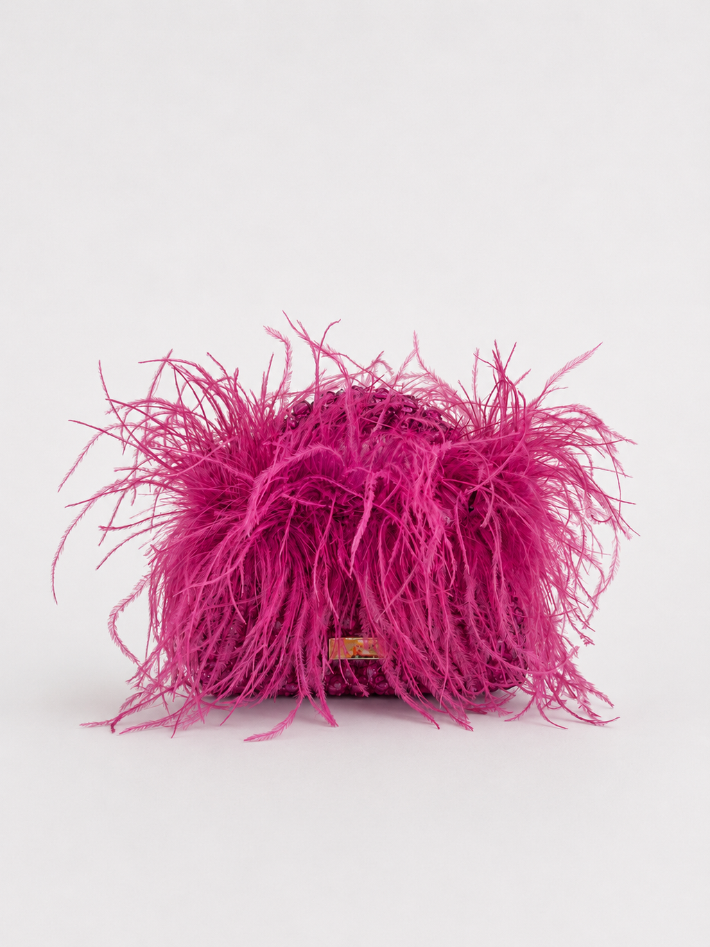 THE STARLIT FUCHSIA