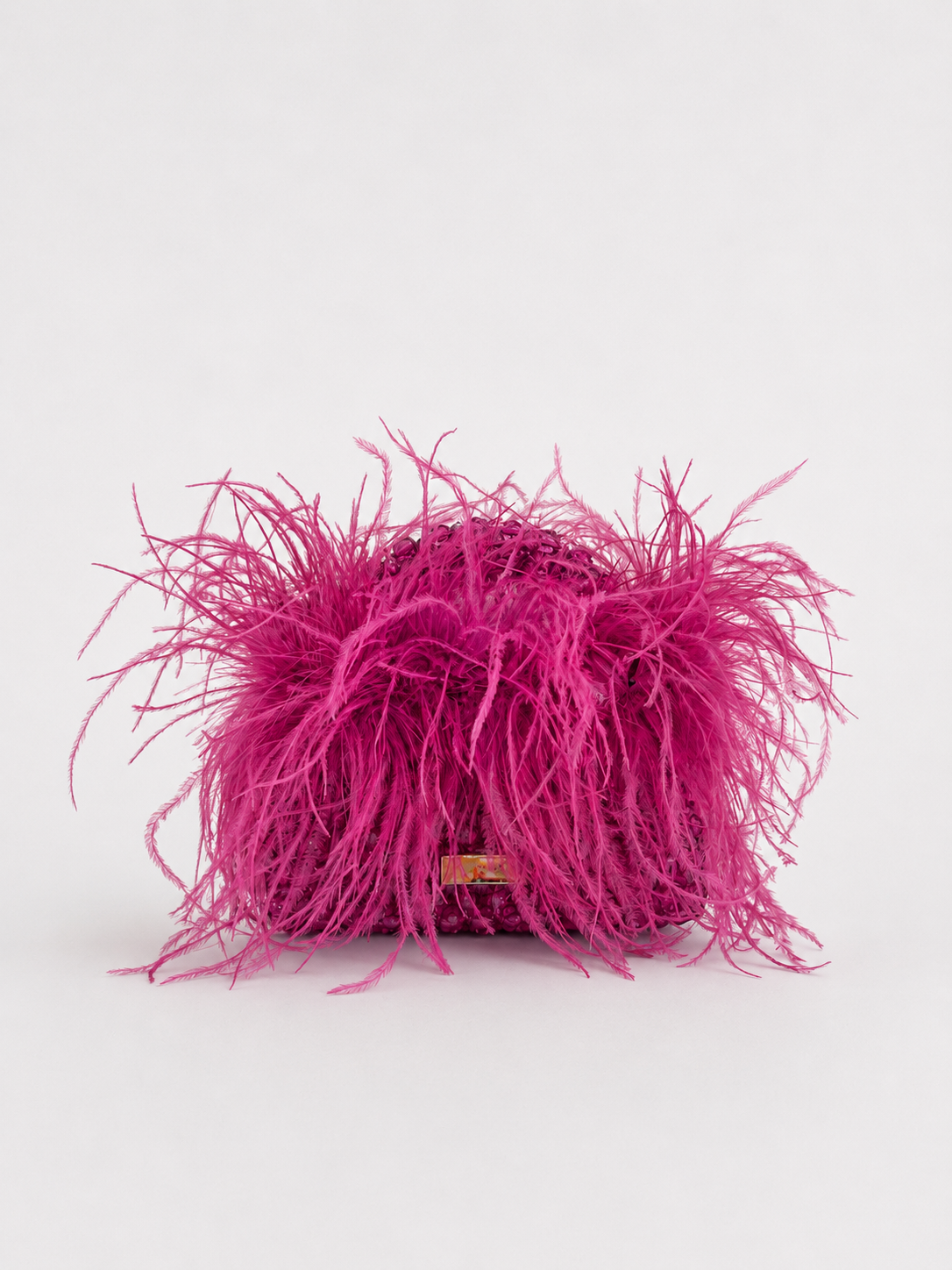 THE STARLIT FUCHSIA
